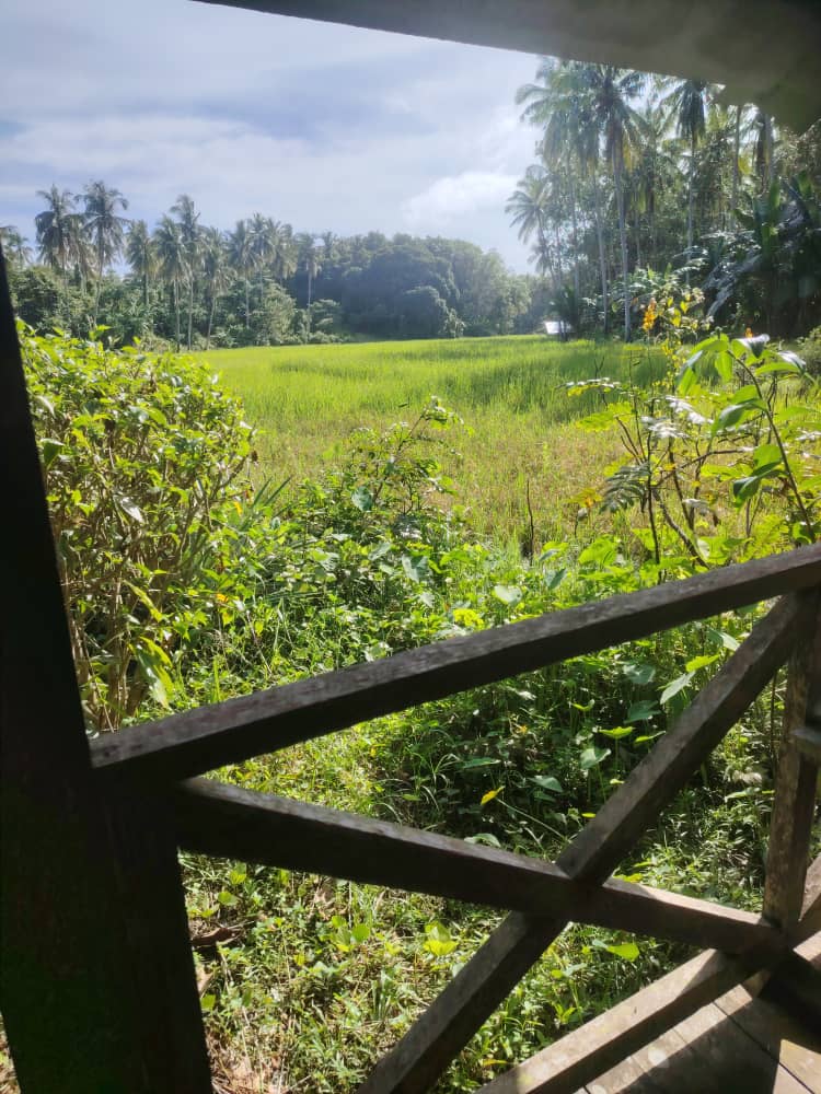 Wildlife Reserve